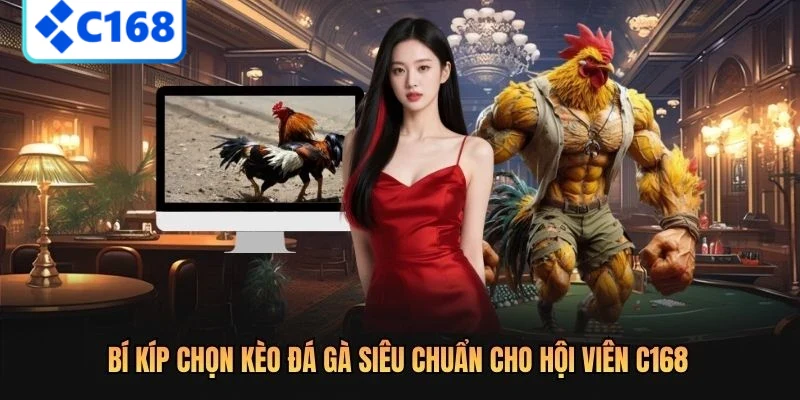 Bí kíp chọn kèo đá gà siêu chuẩn cho hội viên C168