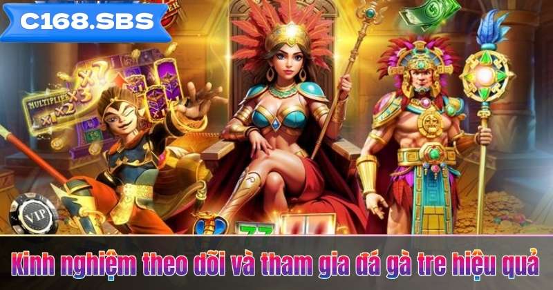 Kinh nghiệm theo dõi và tham gia đá gà tre hiệu quả