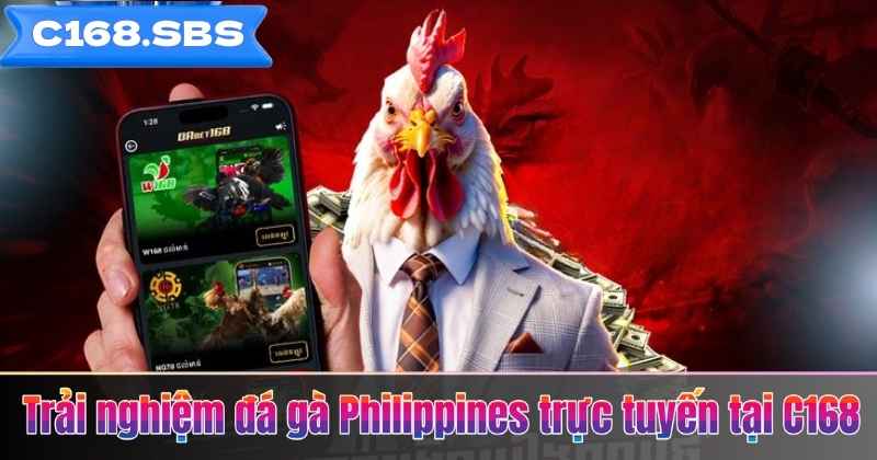 Trải nghiệm đá gà Philippines trực tuyến tại C168